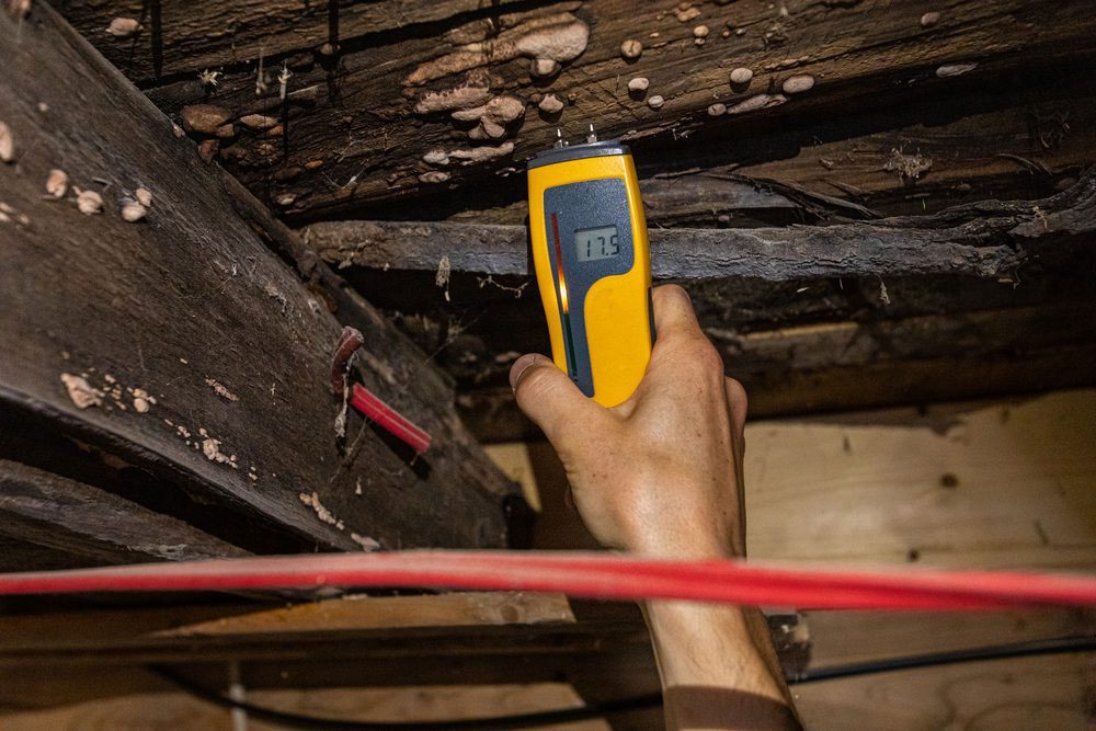 Learn what a crawl space inspection is, its importance, and how it impacts your home's health and value.