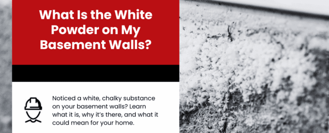 What Is the White Powder on My Basement Walls?